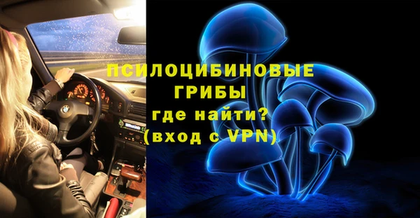 сатива Алексин