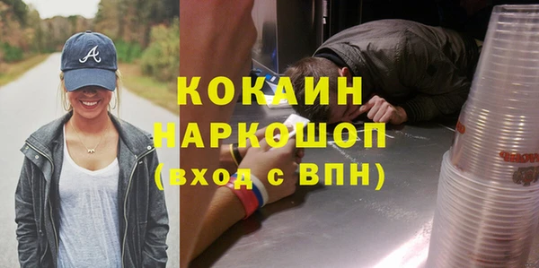 гашик Алексеевка