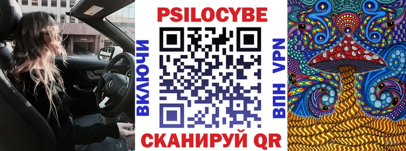Псилоцибиновые грибы мицелий Геленджик